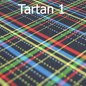 Fabric - Tartan 1