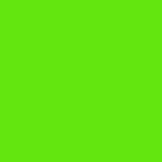 Nylon - Lime Green