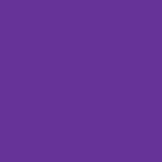 Nylon - Purple